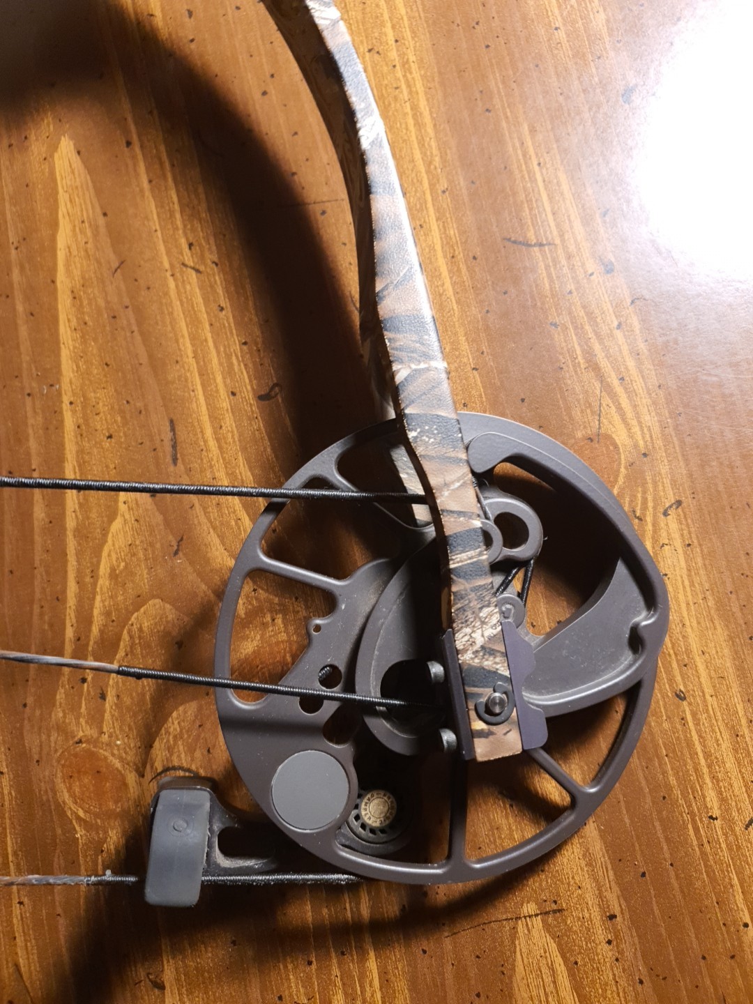 Mathews DXT 30" 70lbs