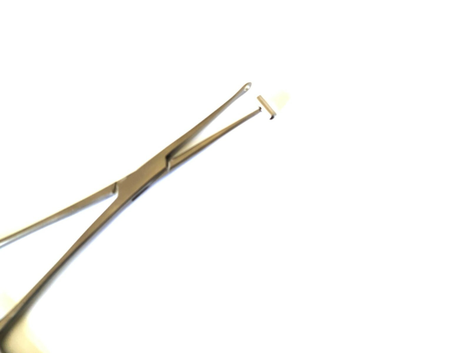 Open Bucket End Tragus Type Forceps 6" Body Piercing Tool