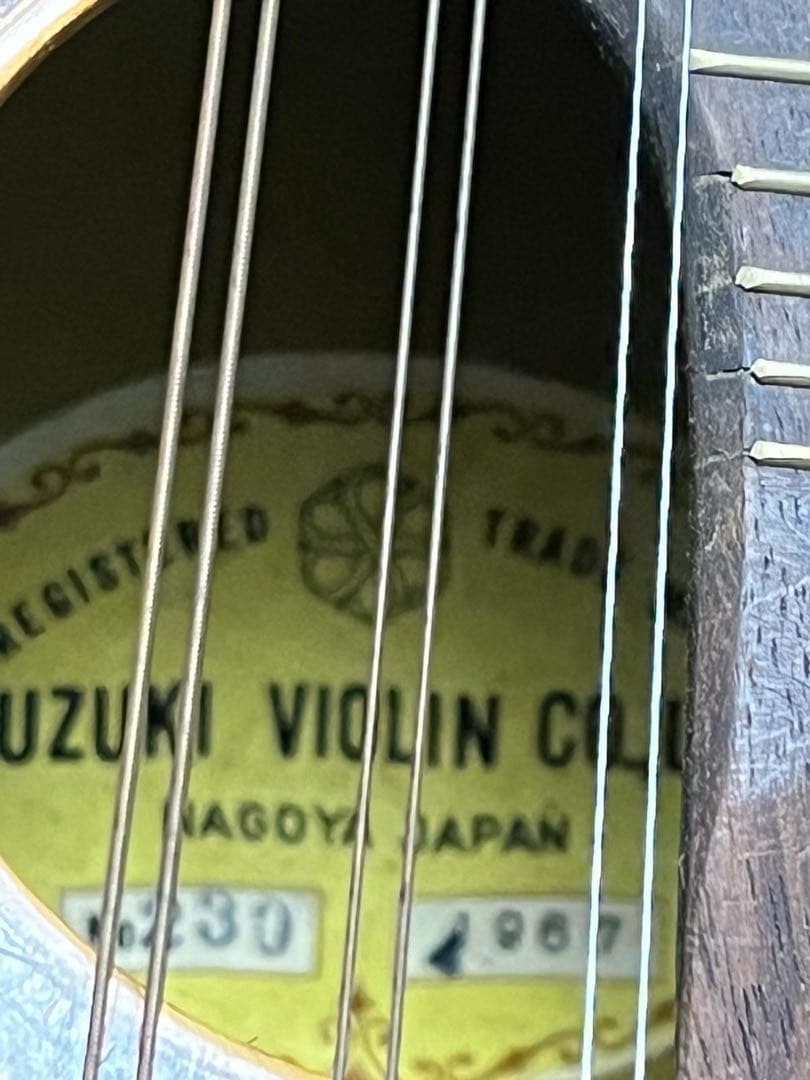 mandolin