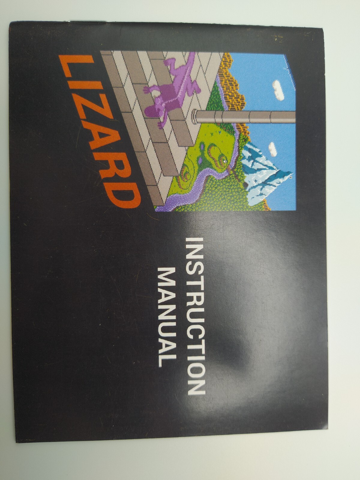 Lizard Nintendo Entertainment System NES Instruction Manual, Brad Smith 2015