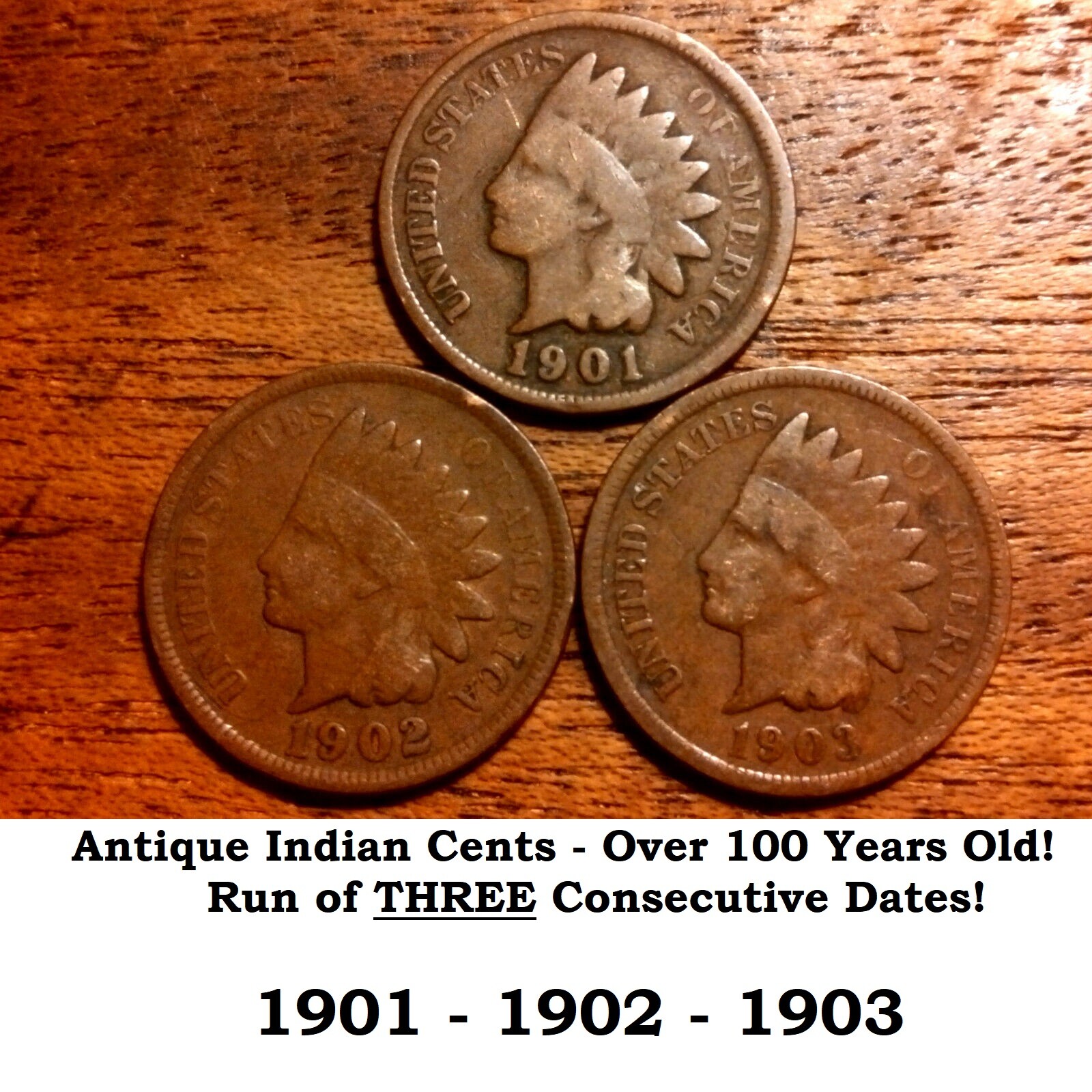 Lot run of 3 THREE Indian Head Cents 1901 1902 1903 Old US Antique Coins Set 7