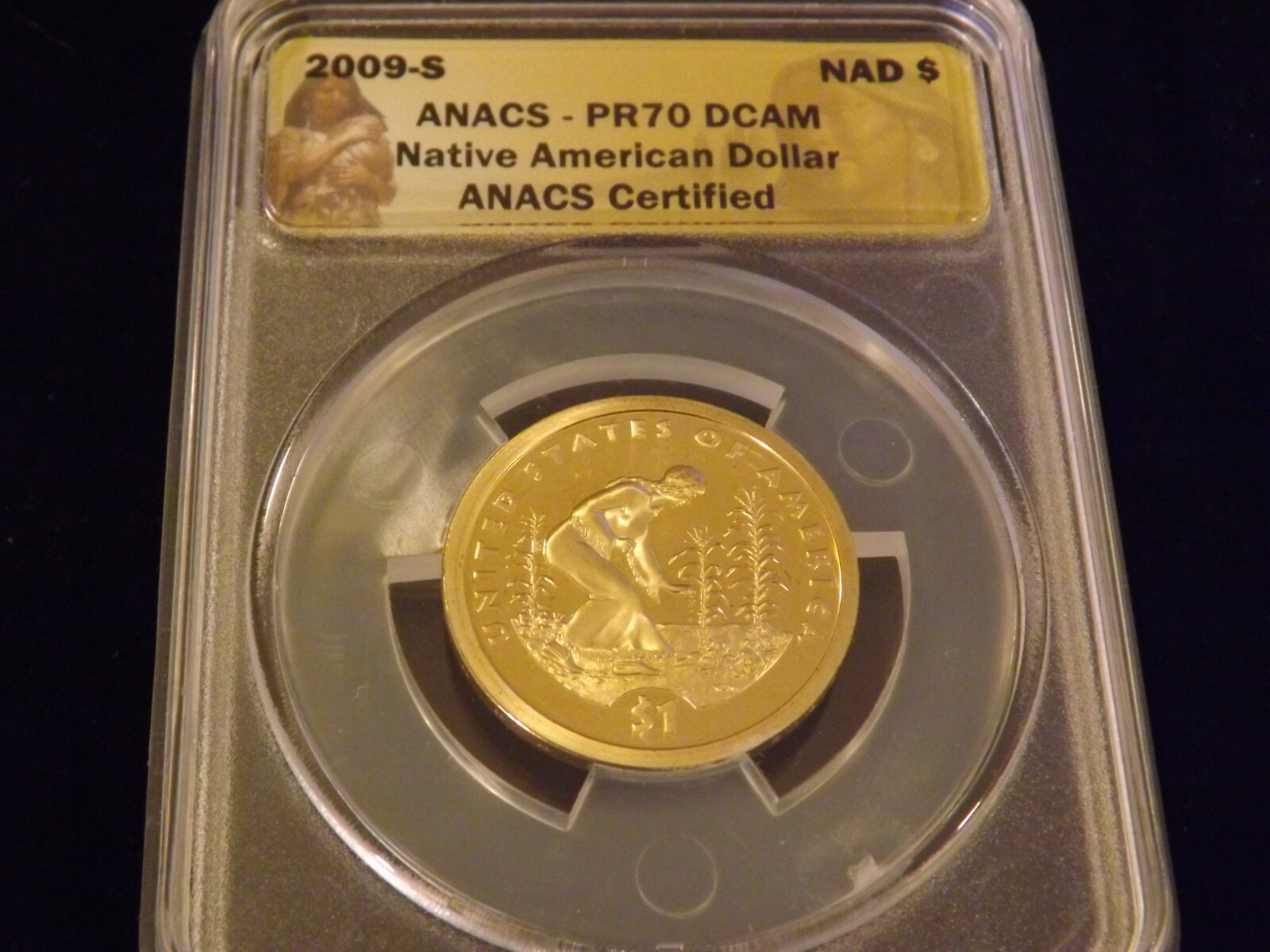 2009-S   NATIVE AMERICAN      ANACS  PR 70 DCAM
