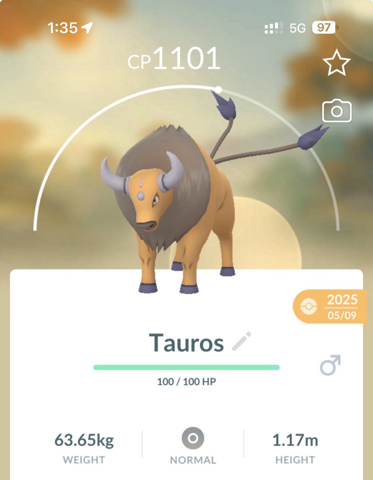 Pokemon Go Tauros  - Normal (Not Shiny)