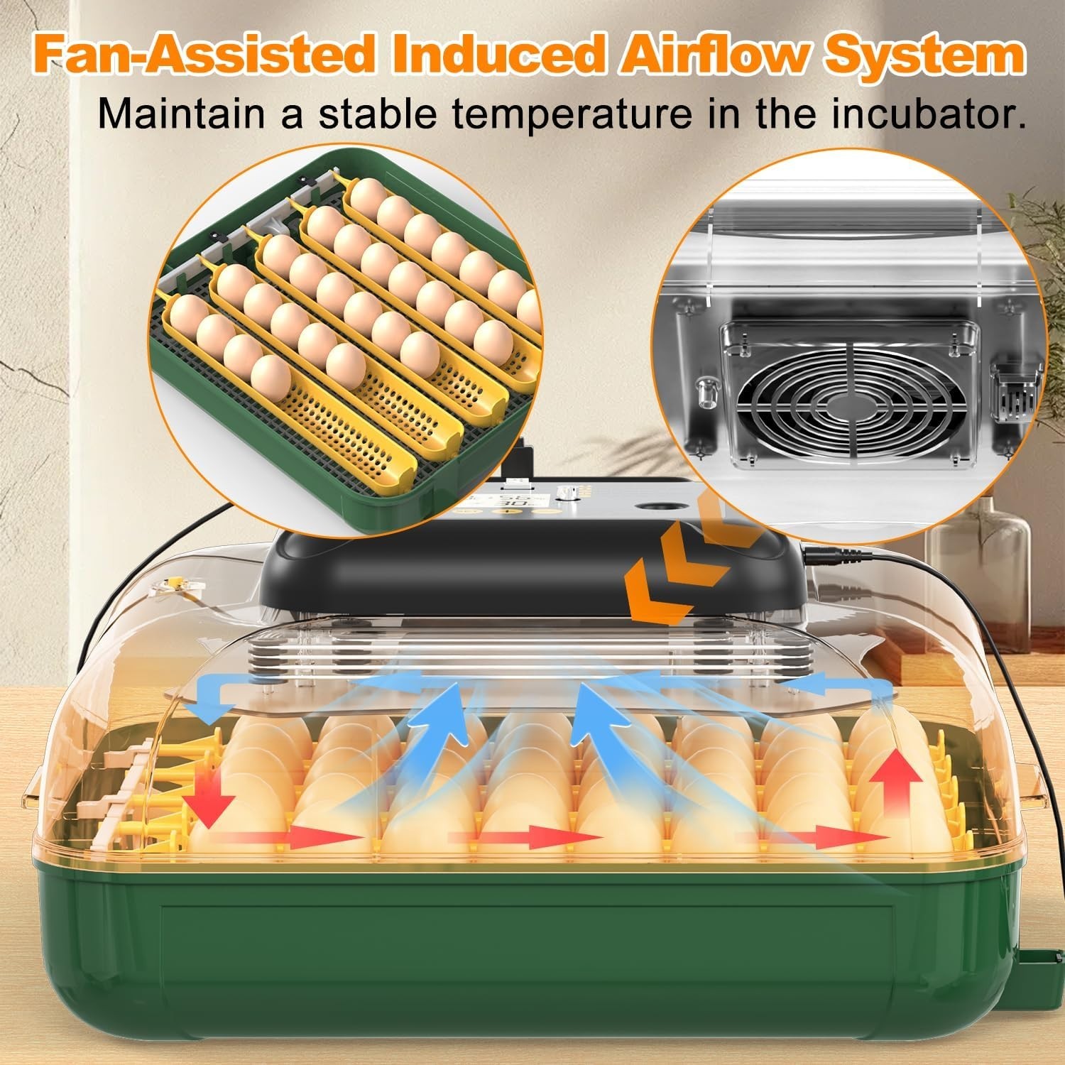 MATICOOPX 30 Egg Incubator with Humidity Display, Egg Candler, Automatic Egg Tur