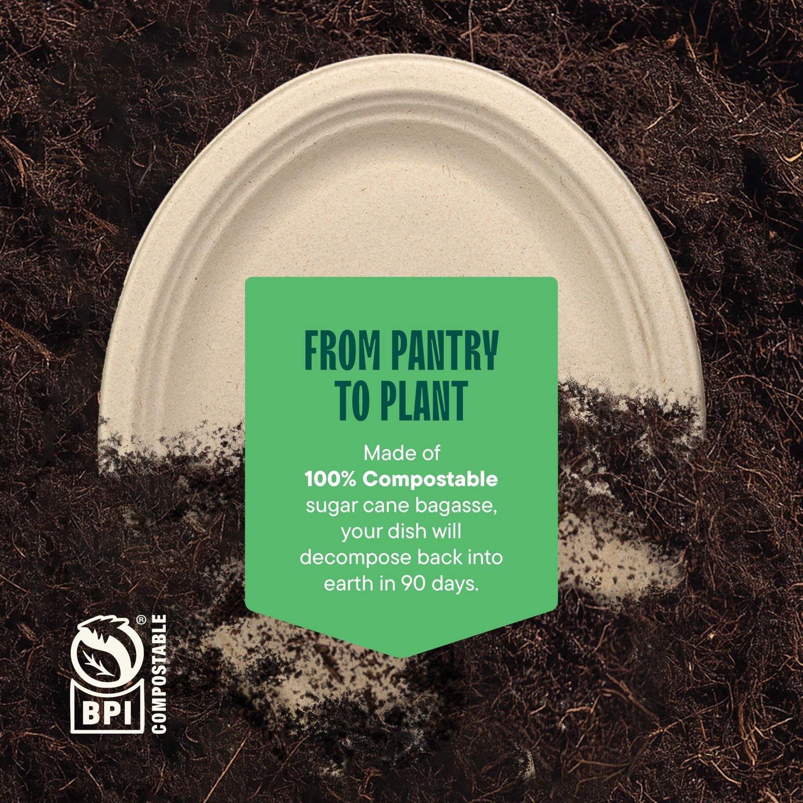 100% Compostable Oval Paper Plates [50-Pack] - {PFAS-Free} - {BPI Certified} ...