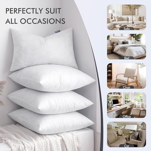Euro Pillow Inserts 24x24 Inch Set of 2, Feather Mix 24x24 Inch (Pack of 2)