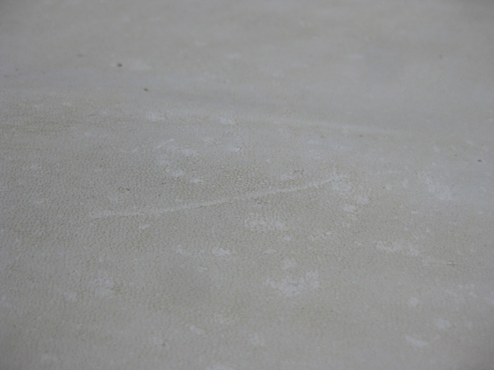 Nubuck Deer Leather # 0013614 ROW SS