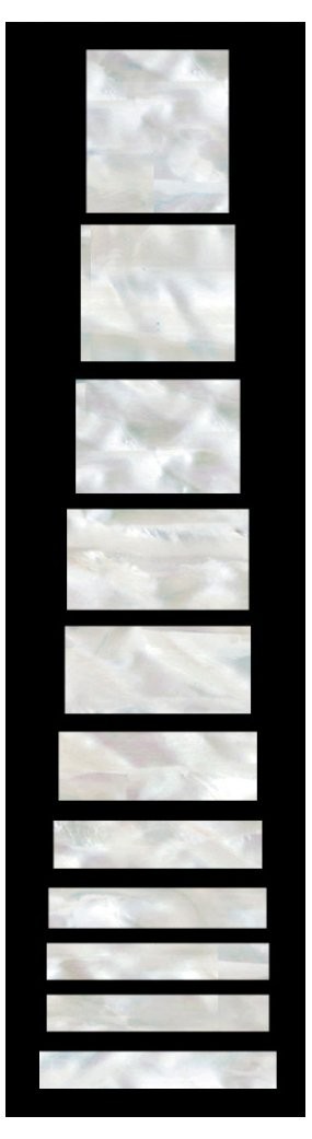 Fretboard Markers Inlay Stickers Decals for Guitars & Bass LP SG Blocks White