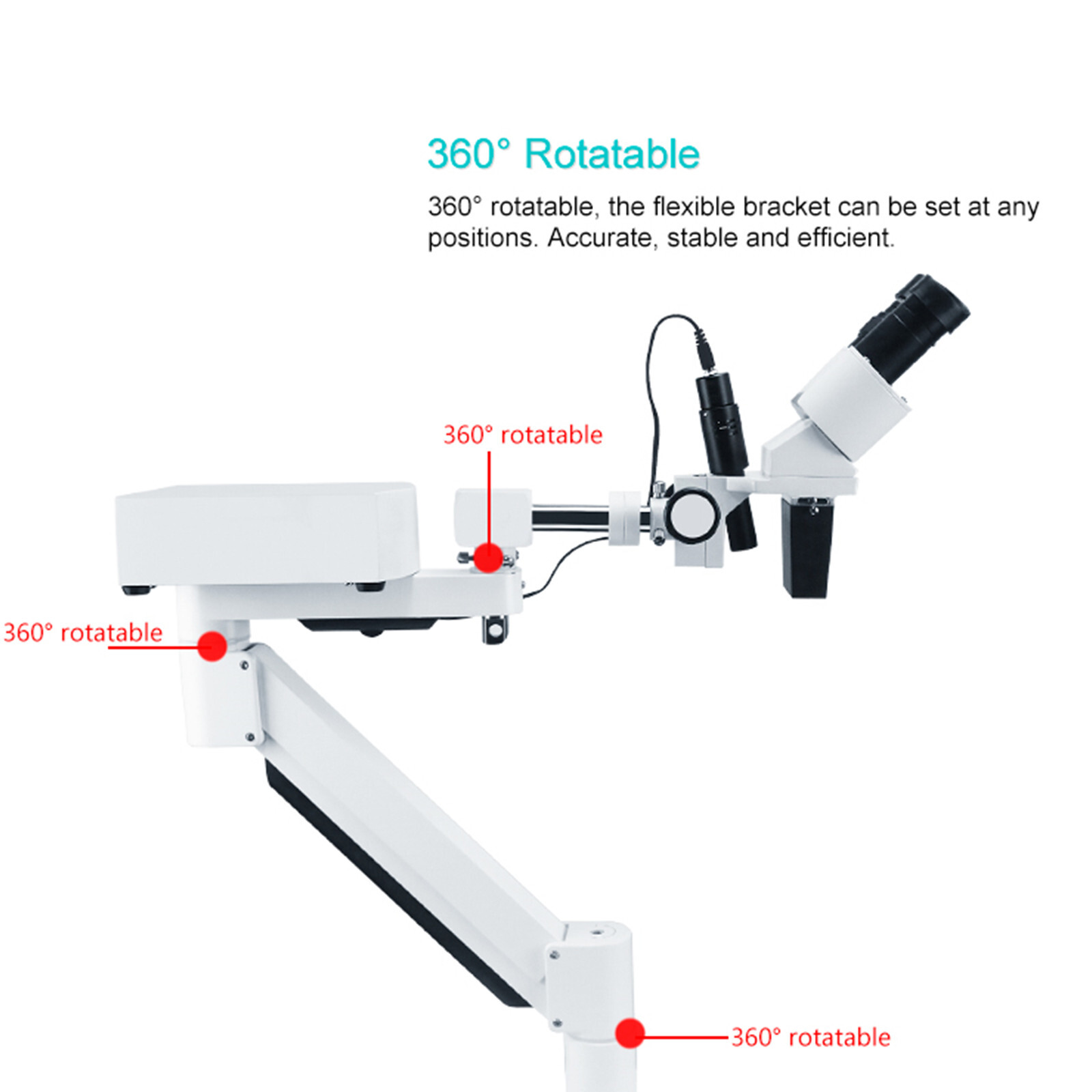 Desktop 10X Dental Stereo Binocular Microscope Surgical Root Canal Microscopes