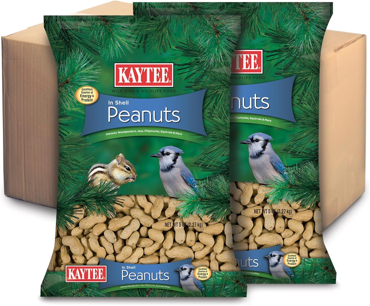 Whole Peanuts in Shell for Cardinals, Blue Jays, Woodpeckers and Other outside W