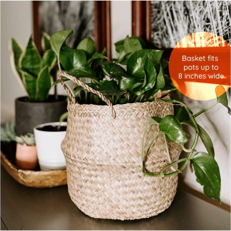 2 Pk Seagrass Belly Basket Woven Flower Planter Pot Storage Box Home Décor Med