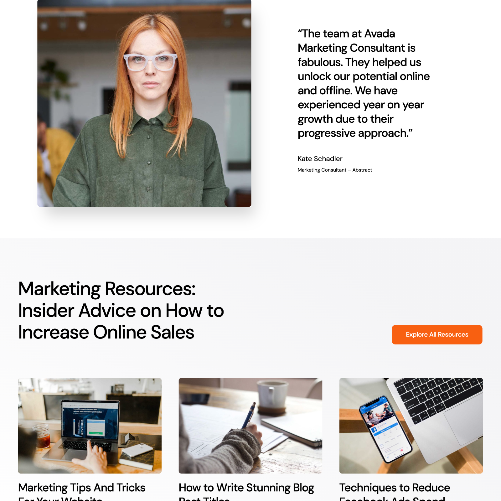 Marketing Consultant Website Design with Free VPS Web Hosting and Installation