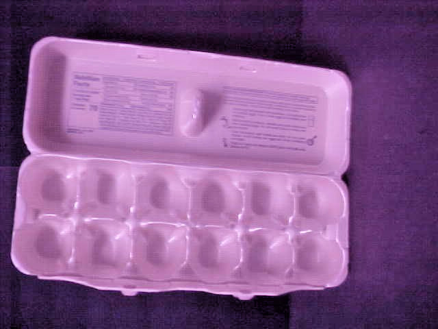 Egg cartons Large Styrofoam egg cartons various sizes LQQK