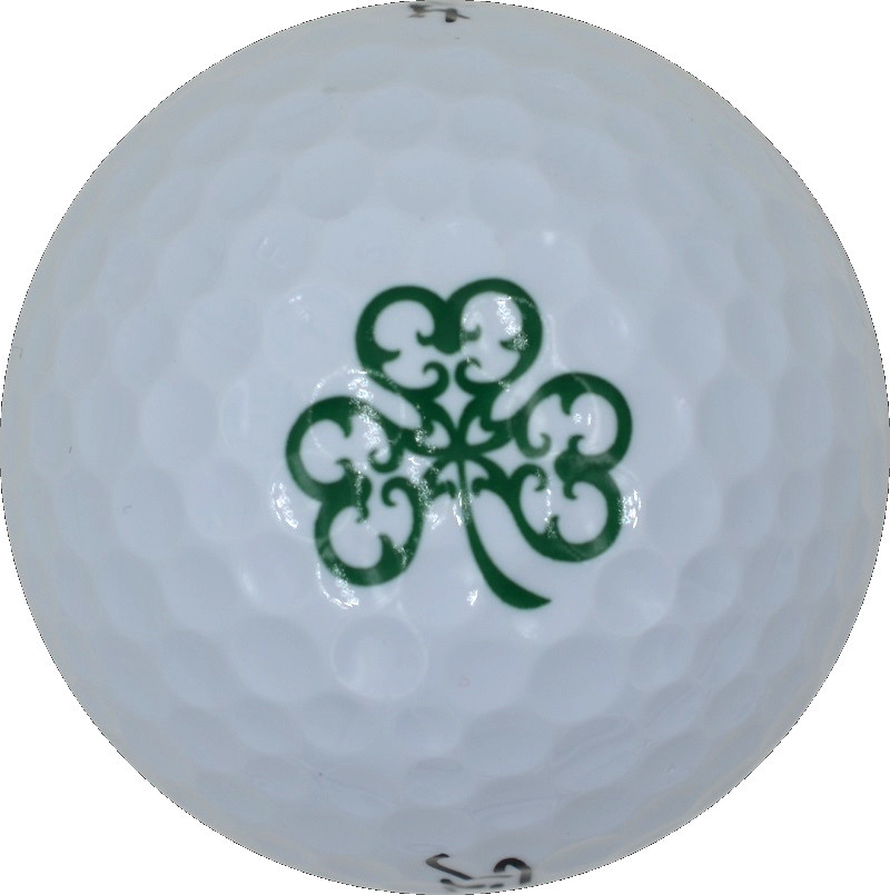 ERIN HILLS (Titleist DT TruSoft) Logo GOLF BALL