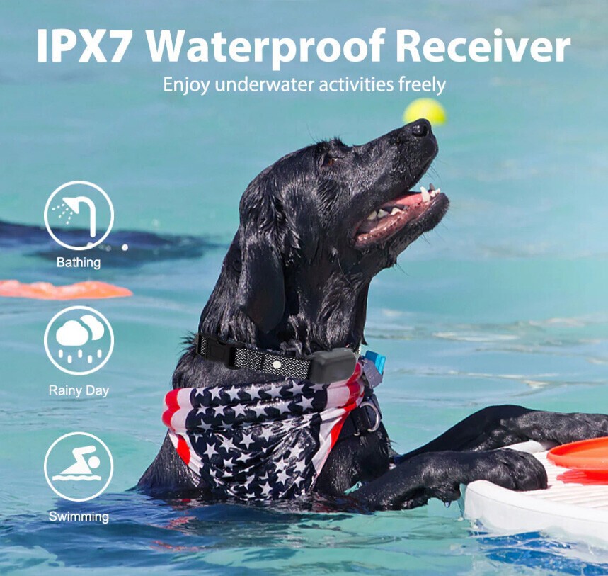 1000Ft Remote Rechargeable Dog Training Collar with Range IPX7 Waterproof