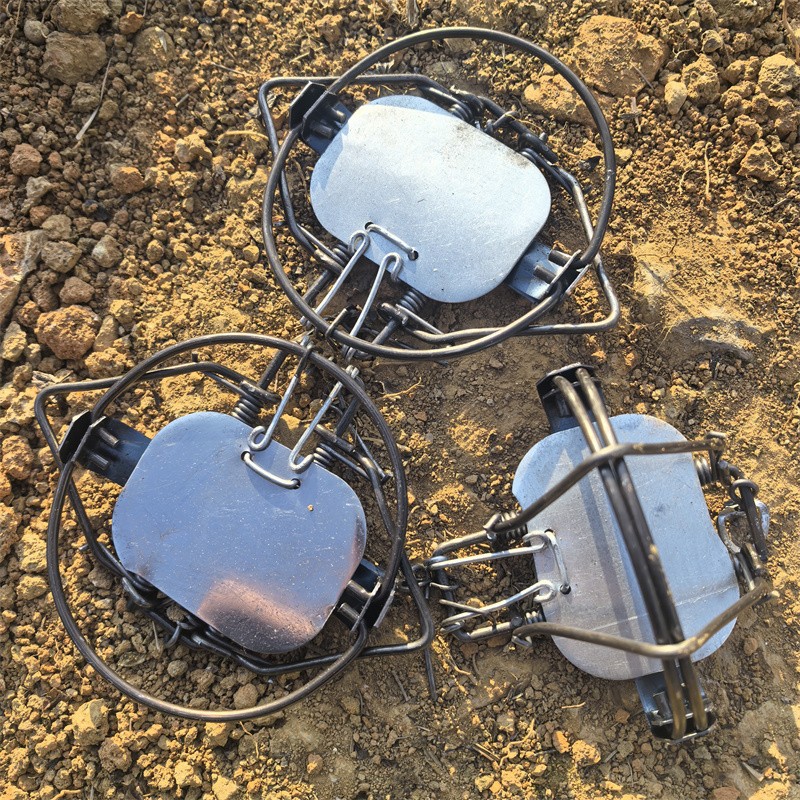 (3 TRAPS) 4-3/10" Coil Spring Trap Mouse Rat Coyote Raccoon Nutria Mink Hare