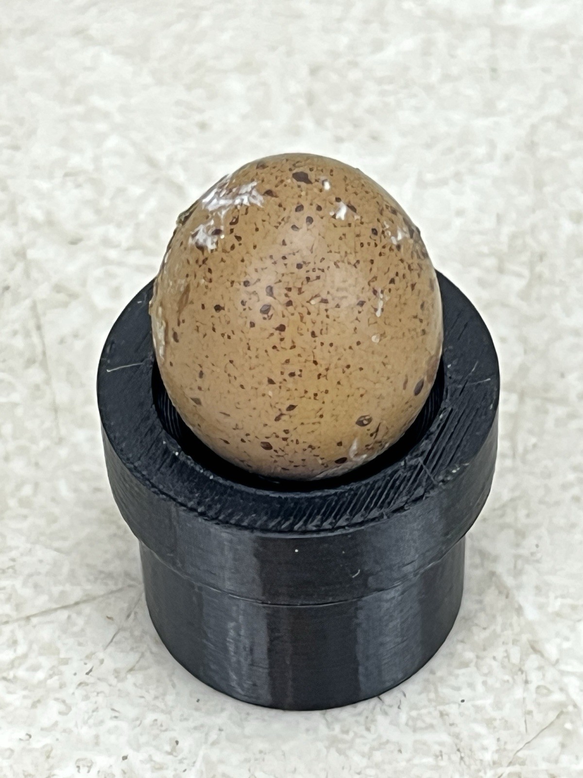 3D Printed Button Quail Egg Adapter For Built-in Brooder Incubator Candler Light