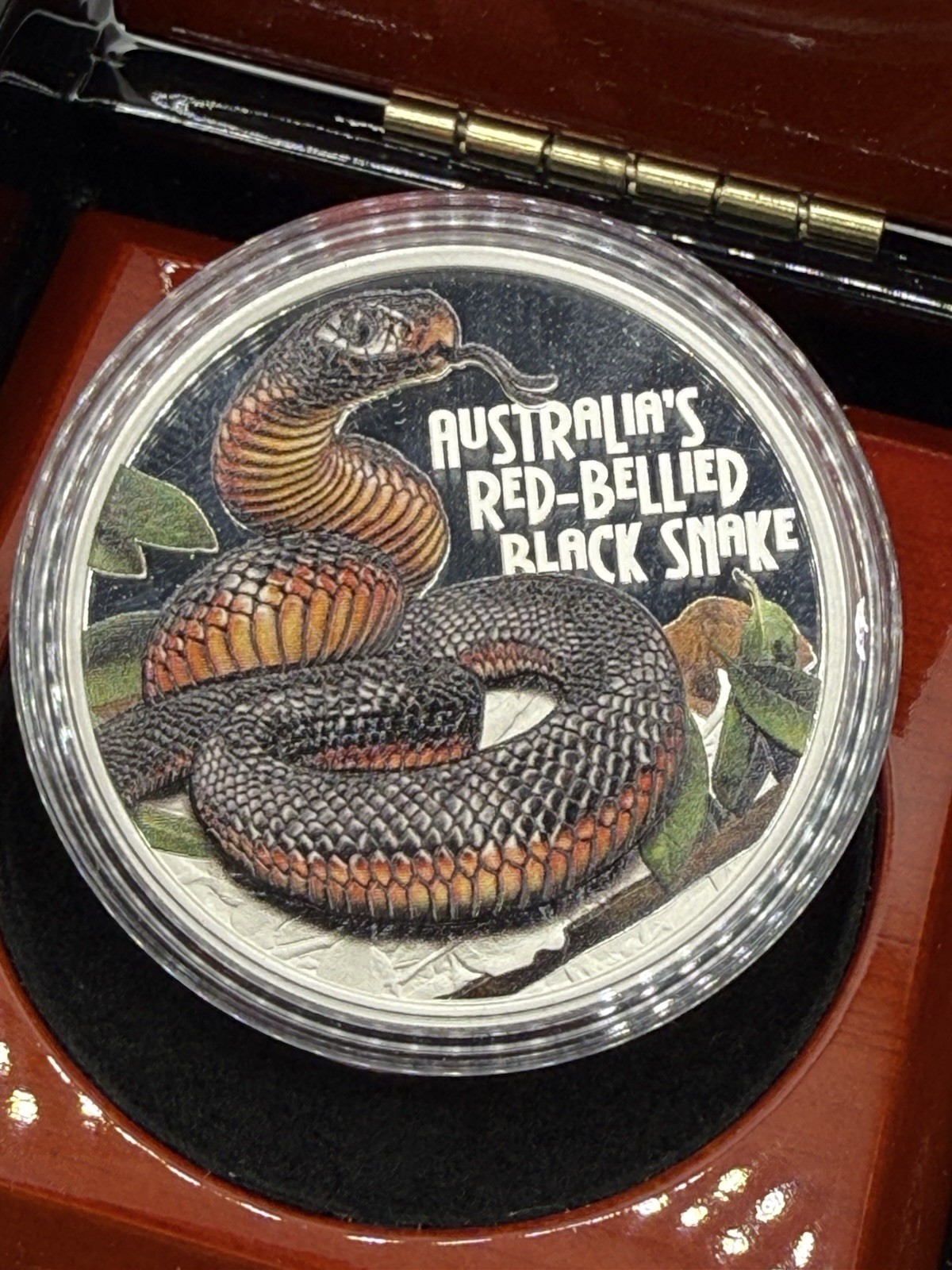 Tuvalu 2022 1$ Deadly & Dangerous RED-BELLIED BLACK SNAKE 1 Oz Pure Silver coin