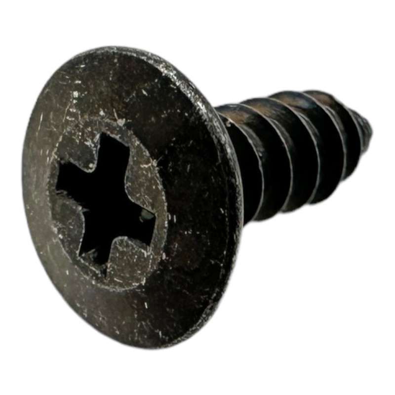 WP98008545 - SCREW