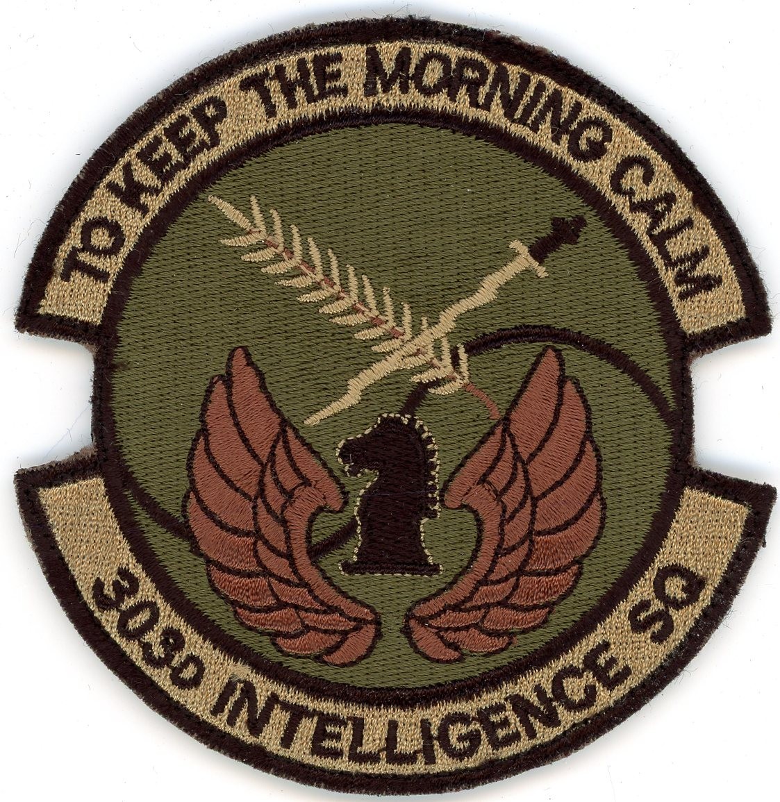 US Air Force Patch: 303rd Intelligence Squadron