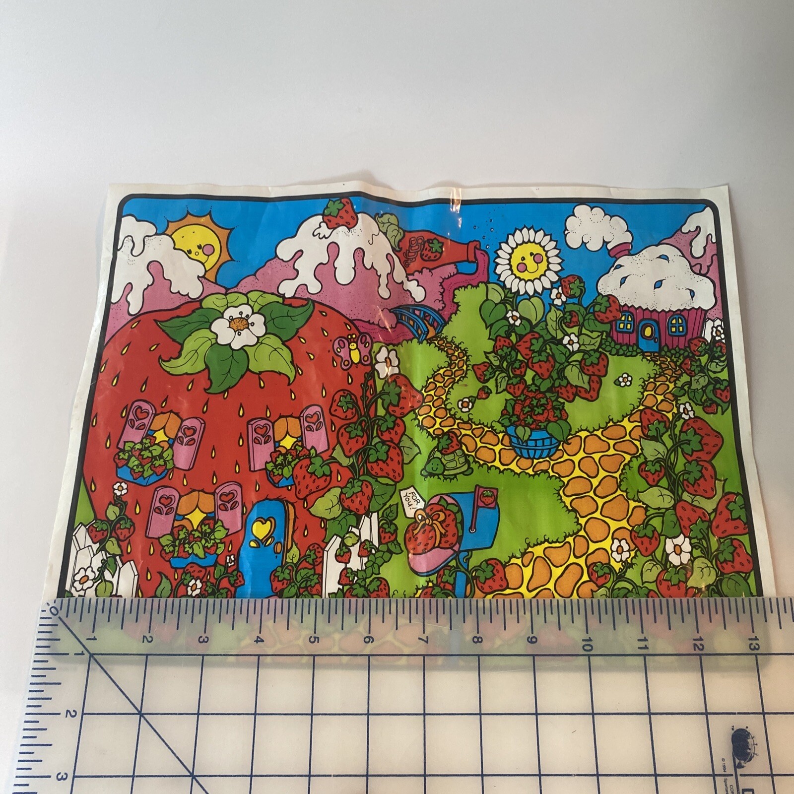 VTG 1980 Strawberry Shortcake Play Doh Set Replacement Lady Bug & Plastic Mat