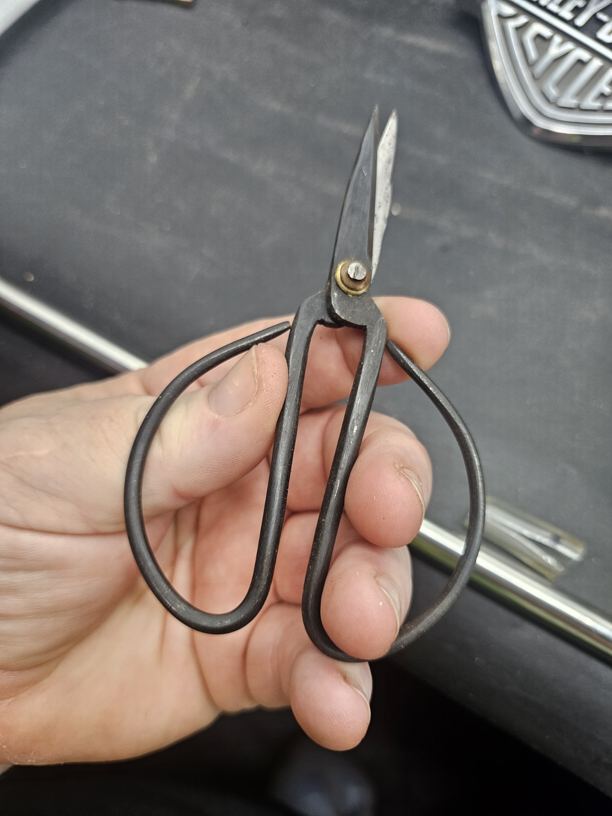 Bonsai Pruning Steel Scissors Garden Shears