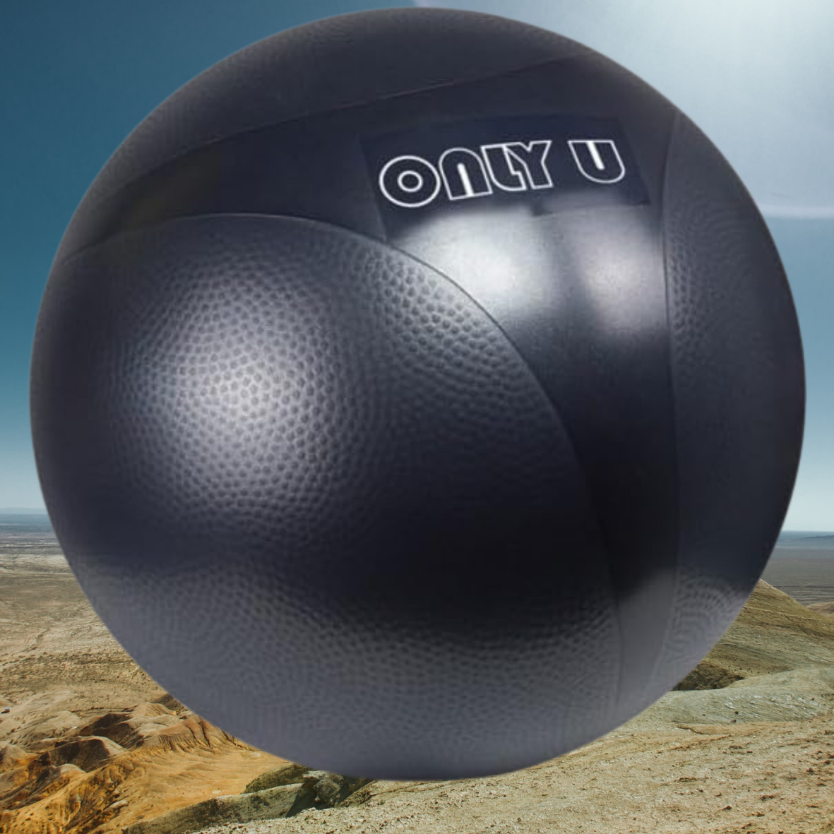 Premium Fitness Yoga Ball Anti-Burst Balance Exercise Ball 65cm w/ Air Pump
