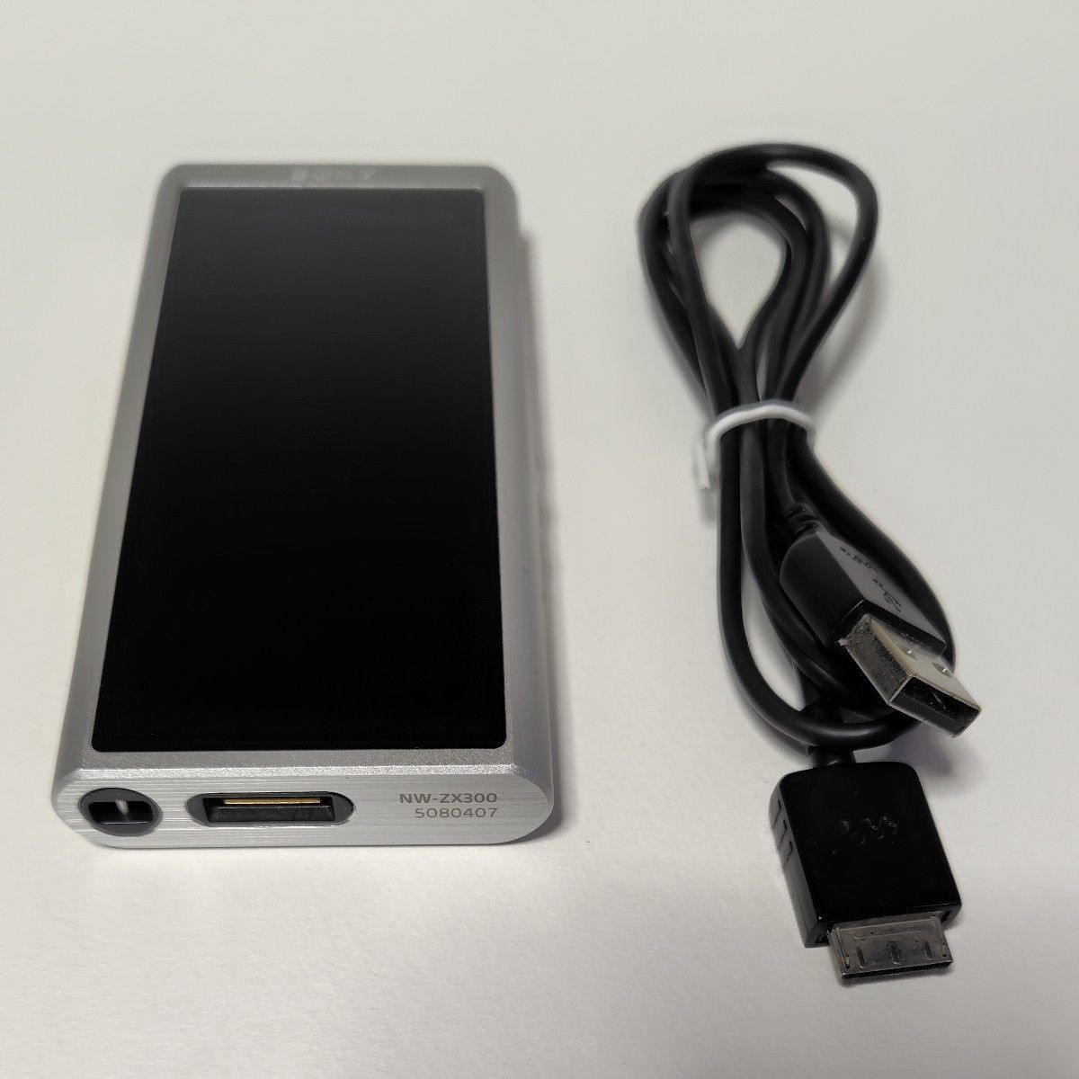 SONY NW-ZX300 Silver Walkman 64GB Digital Music Player Multilingual OK JP Model
