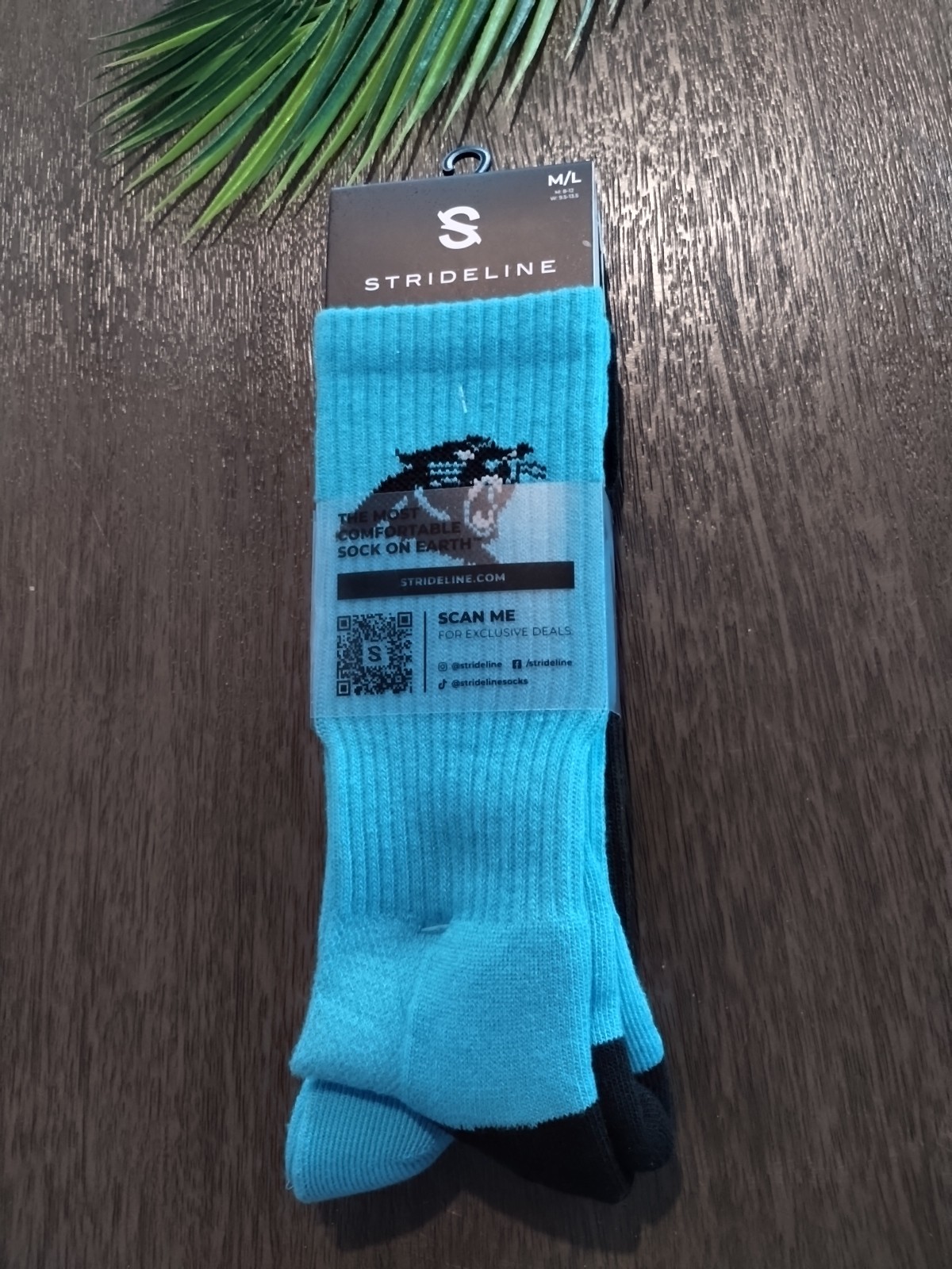 Carolina Panthers NFL Socks by Strideline 2 Pair Pack Size M/L (M 8-12 W 9.5-13)