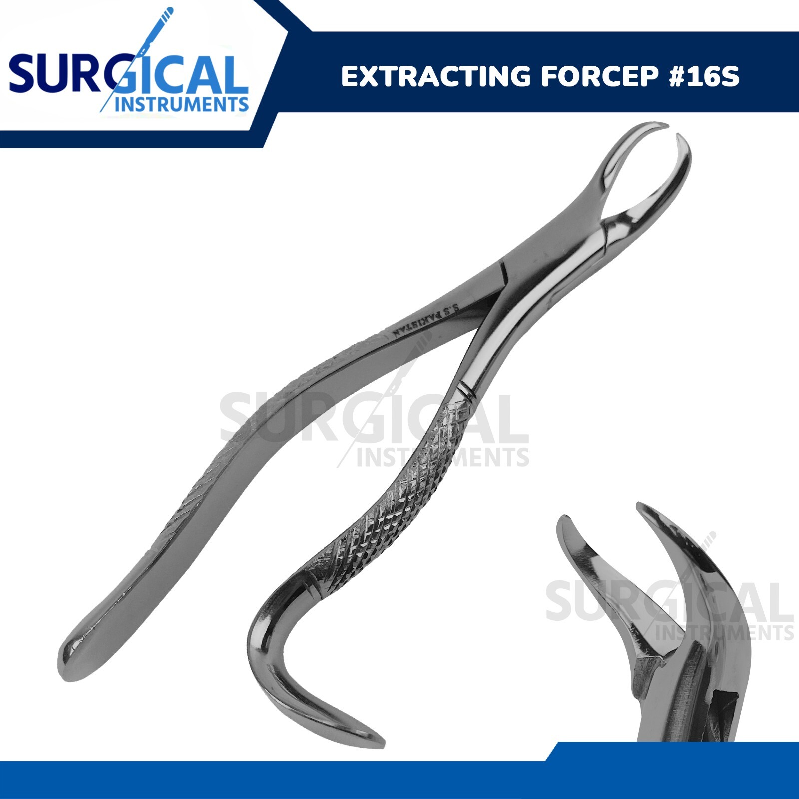 Extracting Forceps #16S Dental Surgical Instruments - Orthodontic Oral German Gr