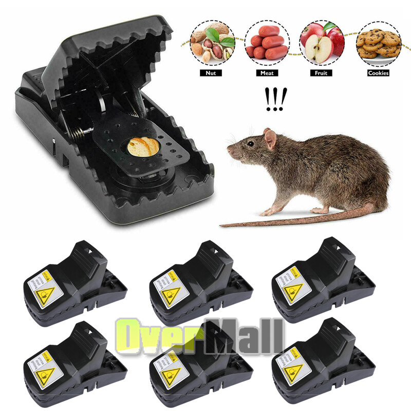 6 Pack Mouse Traps Rat Mice Killer Snap Trap Power Rodent Heavy Duty Pest Trap