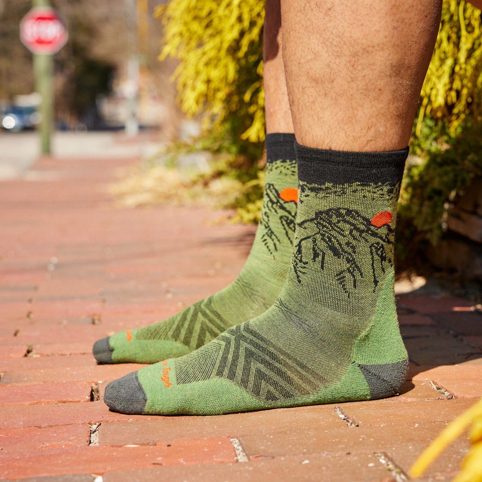 Darn Tough 1066 Lichen Men's Vert Micro Crew Ultra-Lightweight Running Socks USA