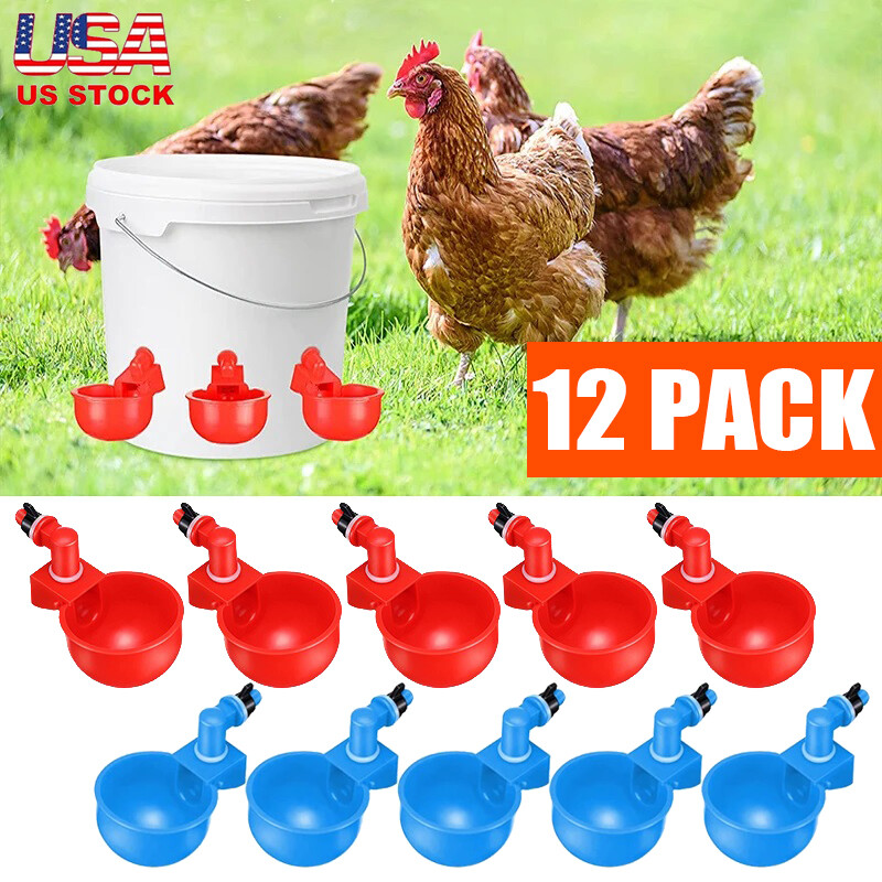 12pcs Chicken Waterer Cups Water Feeder Kit Automatic Suitable Duck Chicks Goose