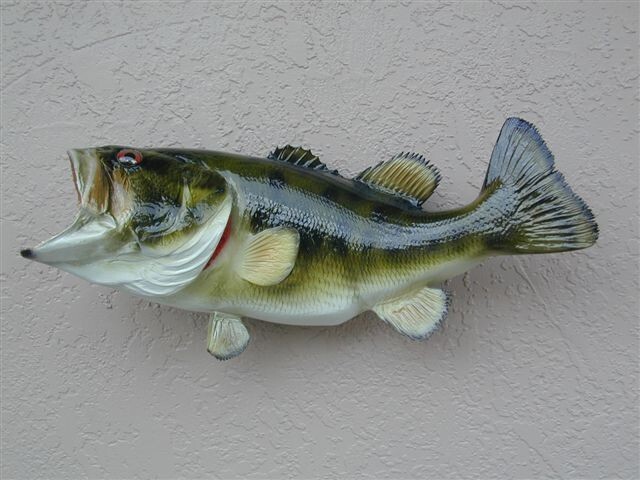 Large Mouth Bass Replica  27 Inch Whole Mount Call 352-457-9030