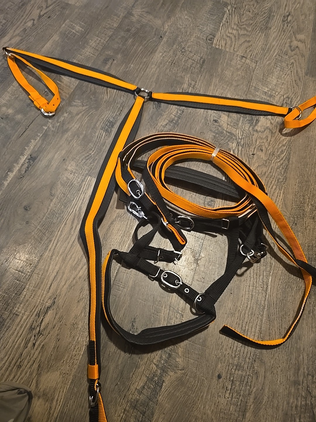 Horse Bridle Set