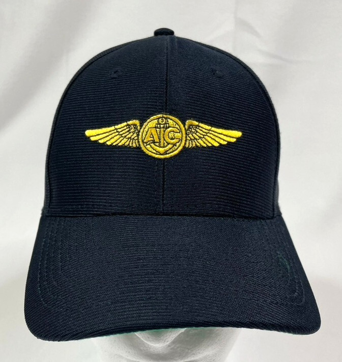 Eagle Crest USA Navy Aircrew 6-Panel Snapback Embroidered Wings Blue Hat NWT