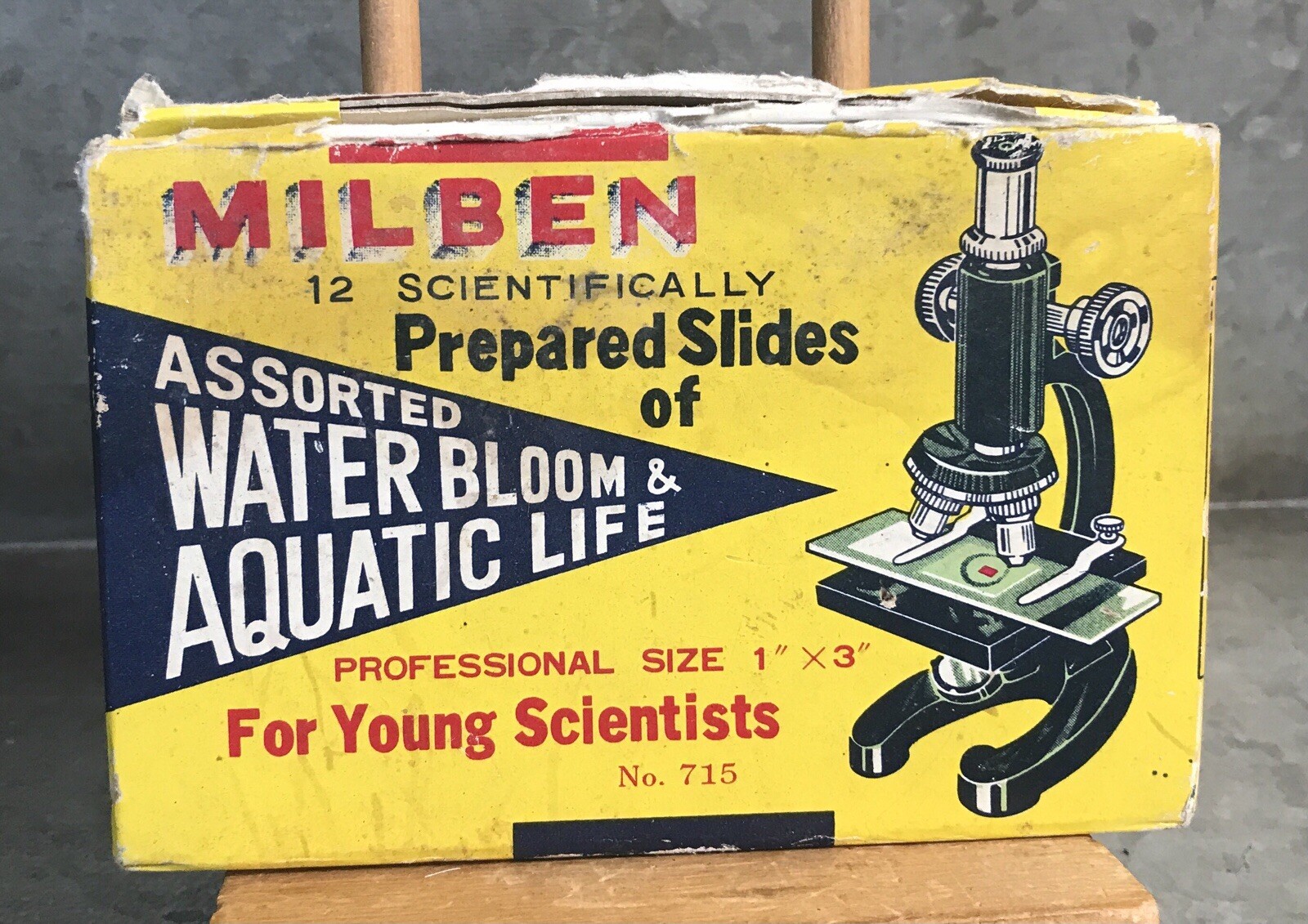 Vtg Milben Scientifically 12 Prepared Slides For Microscope Aquatic Life #715
