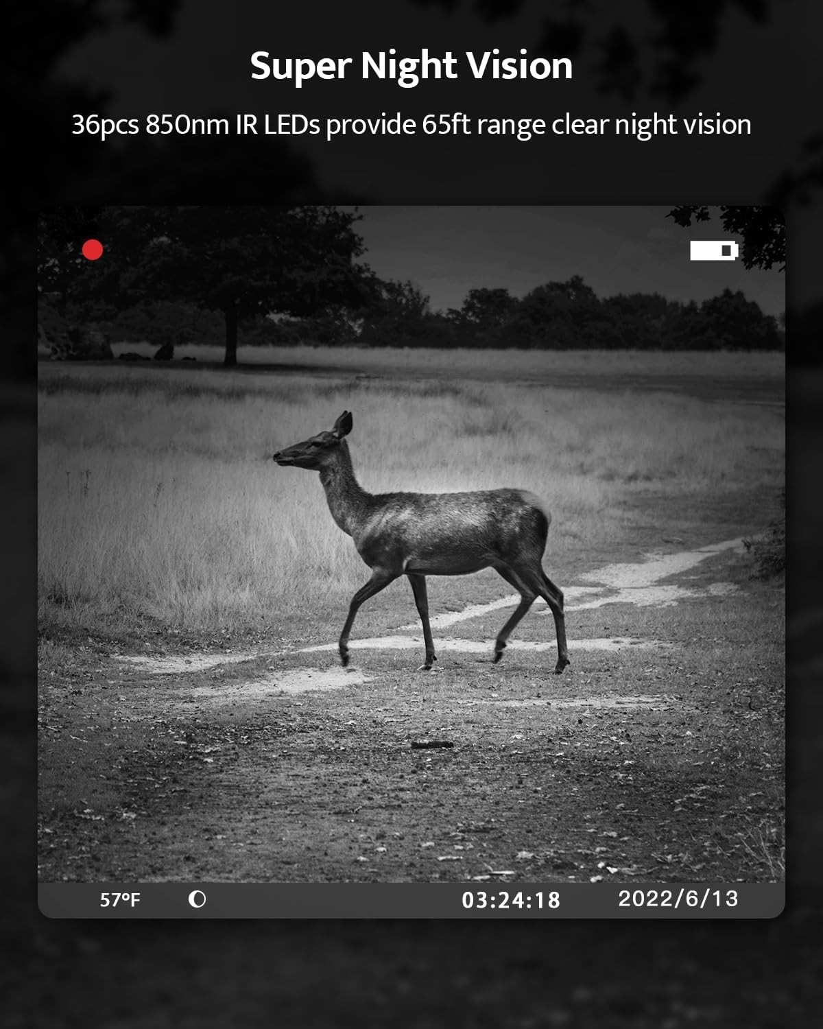 Camara De Caza Digital Infraroja Para La Noche Grabar Animales Vida Salvaje NEW