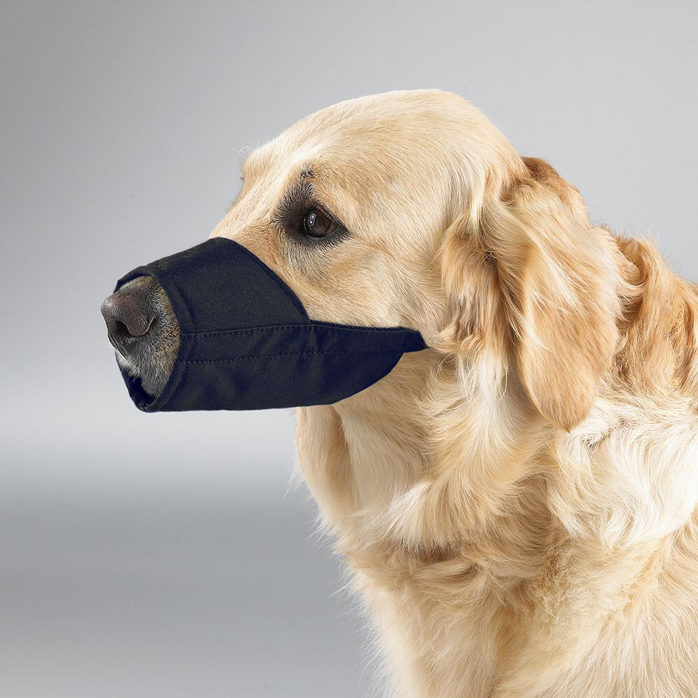 9 pc GROOMER VET SET DOG MUZZLE Comfort LINED Quick-FIT ADJUSTABLE TRAINING