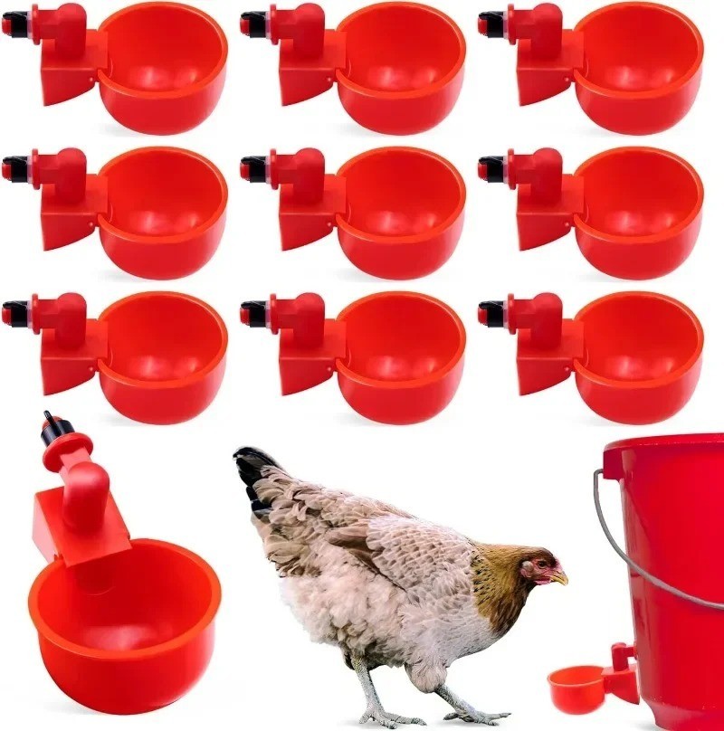 10PCS Chicken Waterer Cups 3/8 Inch Thread Poultry Drinking Feeder
