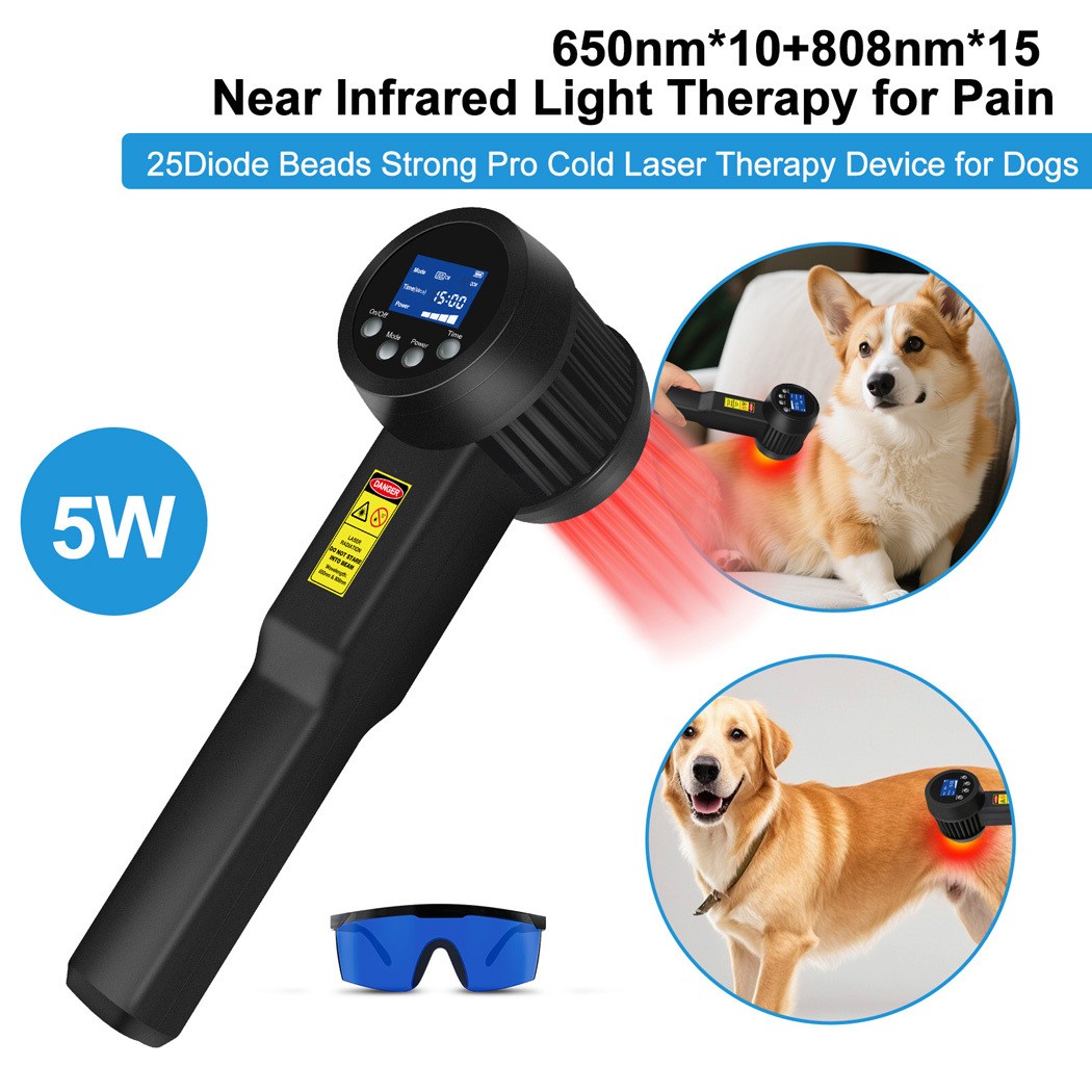 Handheld Cold Laser Therapy 650nm 808nm 5W Device for Body Pain Relief Home Use