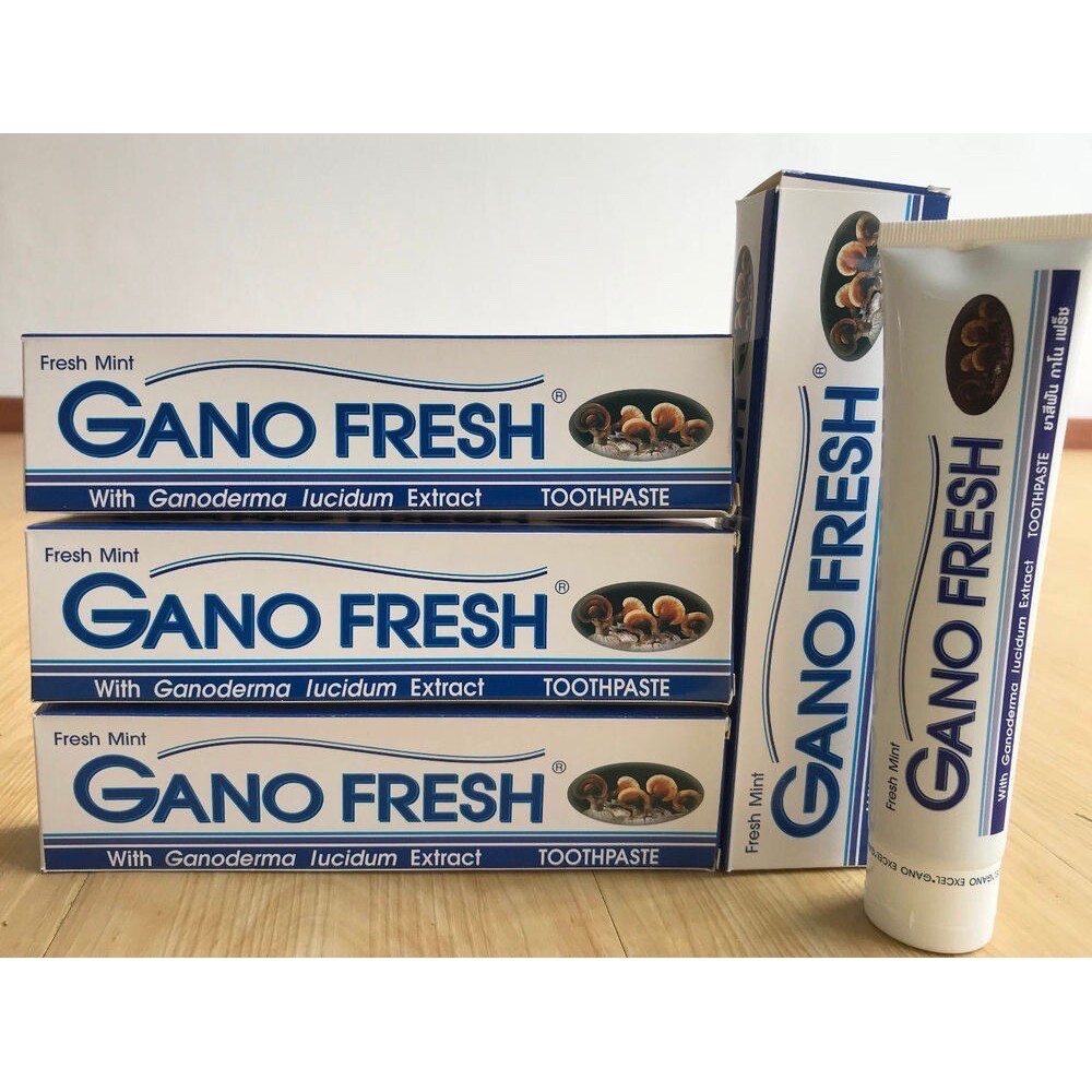 2 Boxes x 150g GANO EXCEL GANO FRESH TOOTHPASTE GANODERMA Free Shipping