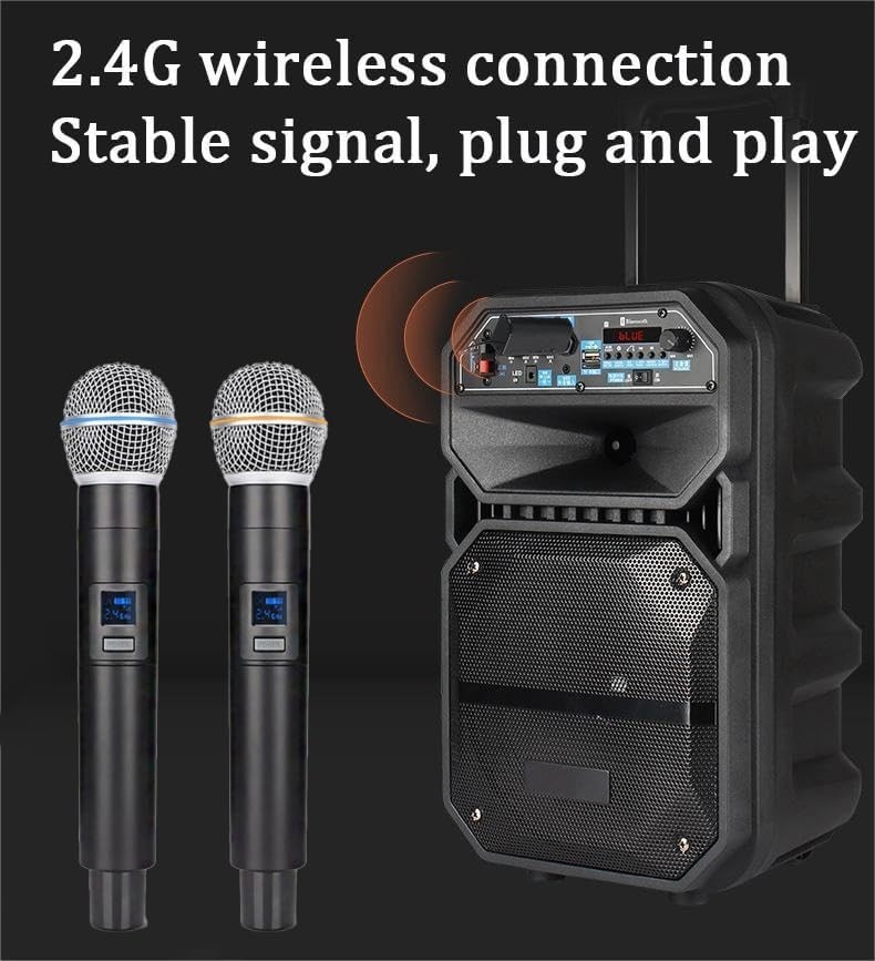 Rechargeable 2.4G Wireless Microphone System with Noise Reduction & Receiver