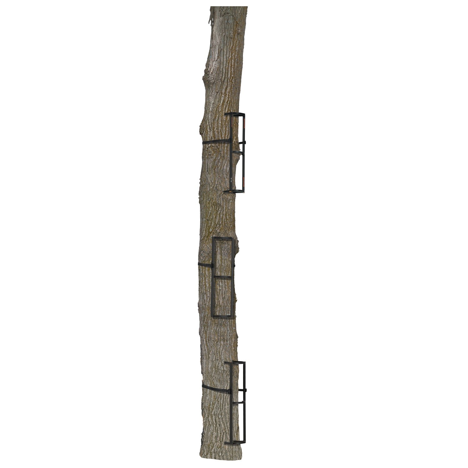 Muddy MCS1200-3 Stagger Steps 3-pack (mcs12003)