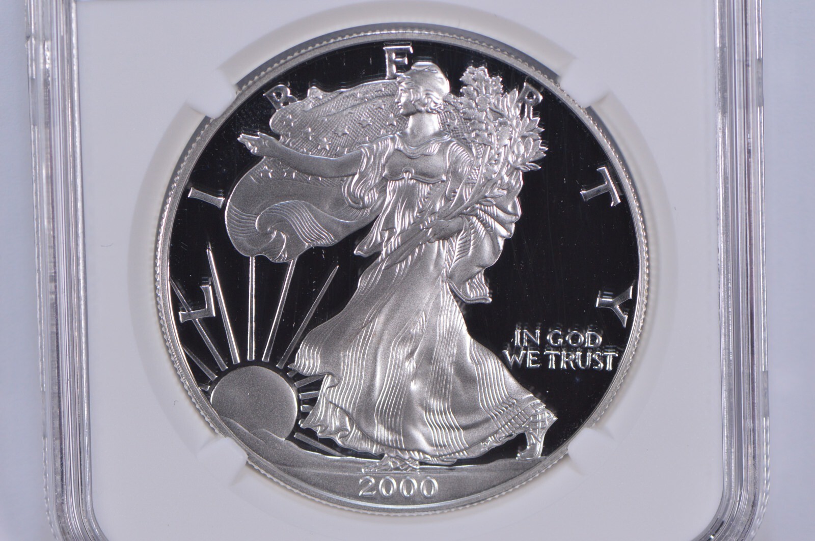 Proof 9.9 2000-P American Silver Eagle $1 NGC X NGCX - Almost PERFECT