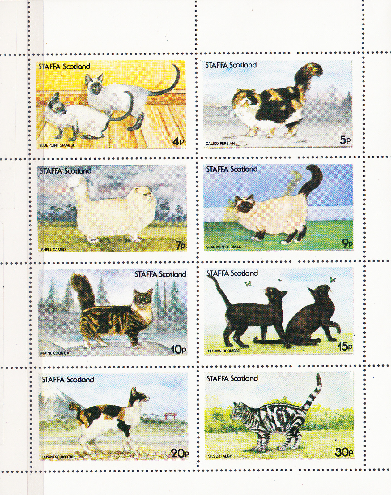 W STAFFA 035 CATS