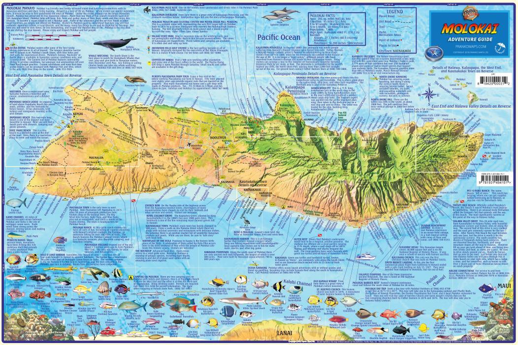 Molokai Hawaii Adventure Guide Map Laminated Poster by Franko Maps