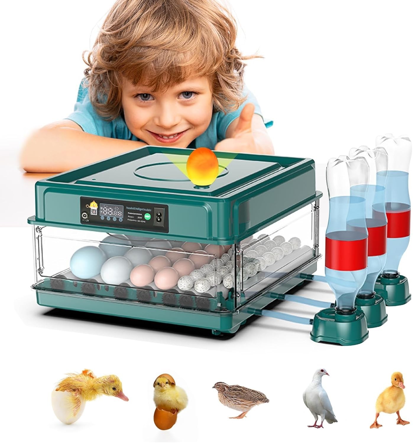 Intelligent Poultry Incubator - 38 Eggs, Automatic Turner & Temperature Control