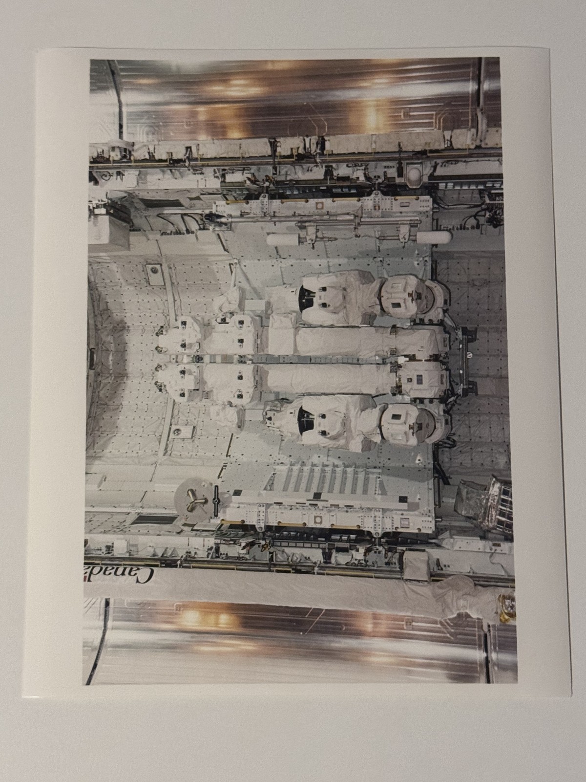 NASA STS-100 Canadarm Robot Arm Payload Bay Endeavour Press Photo