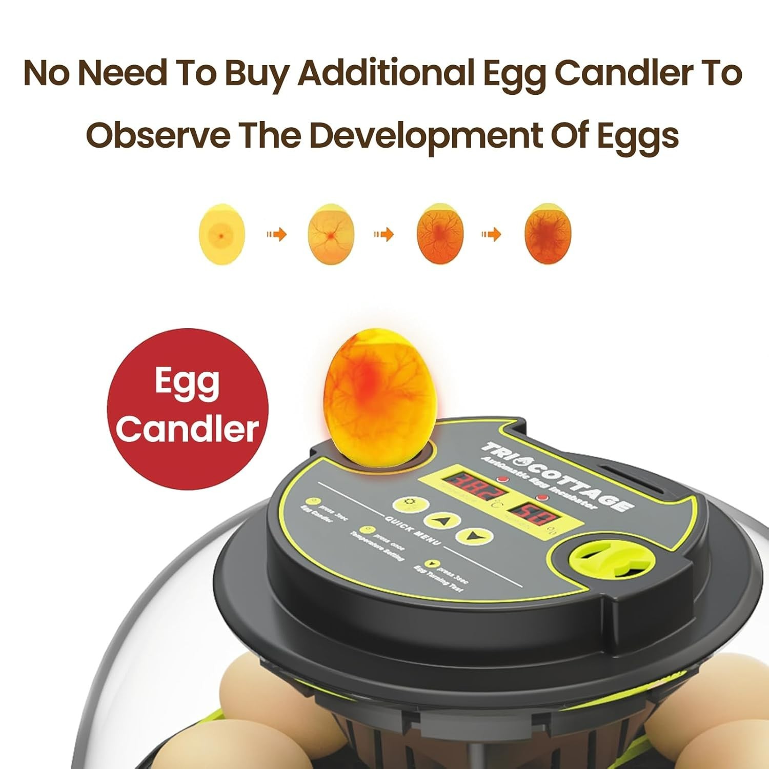 Efficient 12 Egg Incubator with Automatic Turning and Humidity Control Functions